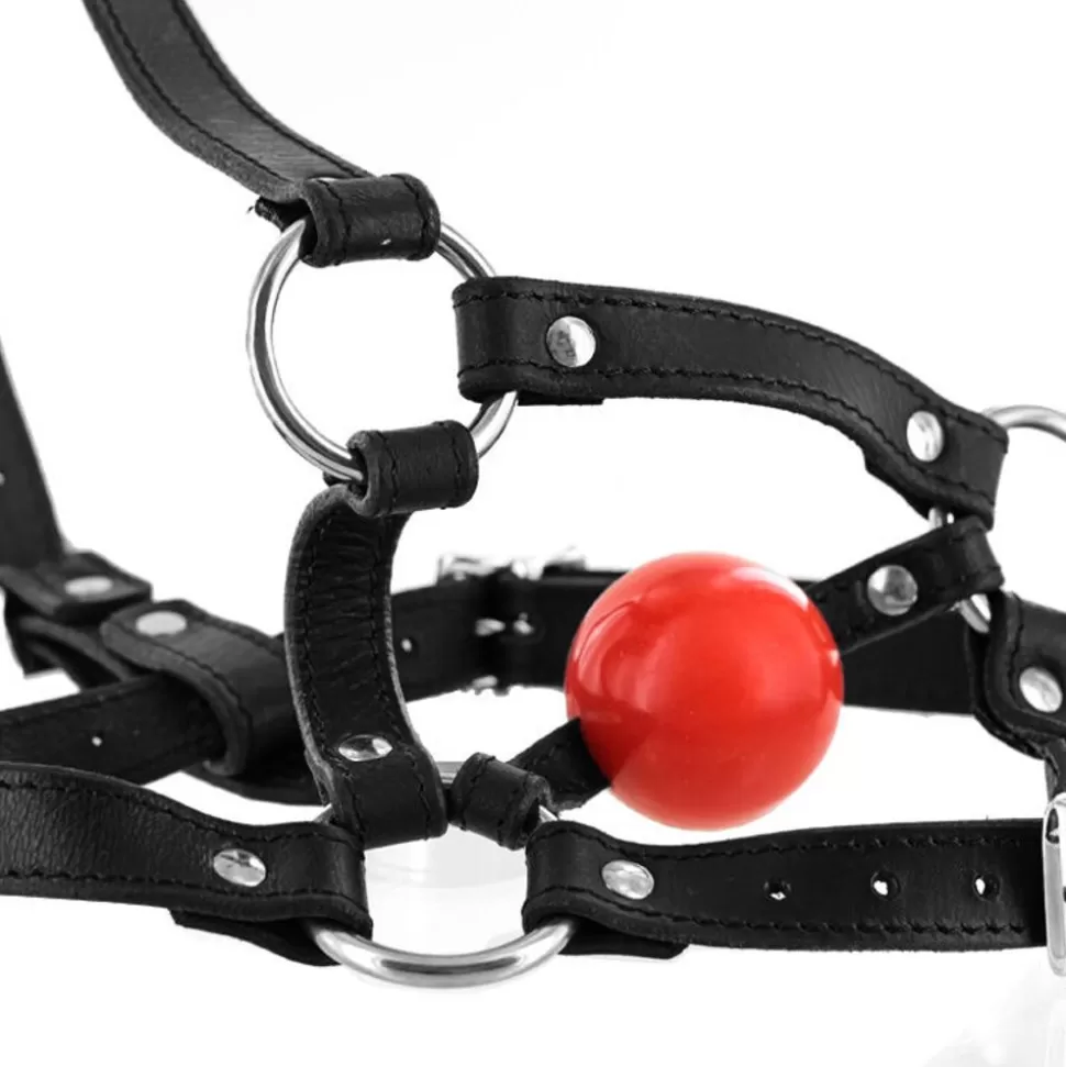 Fashion Ball Gag Head Harness Bondage Gags