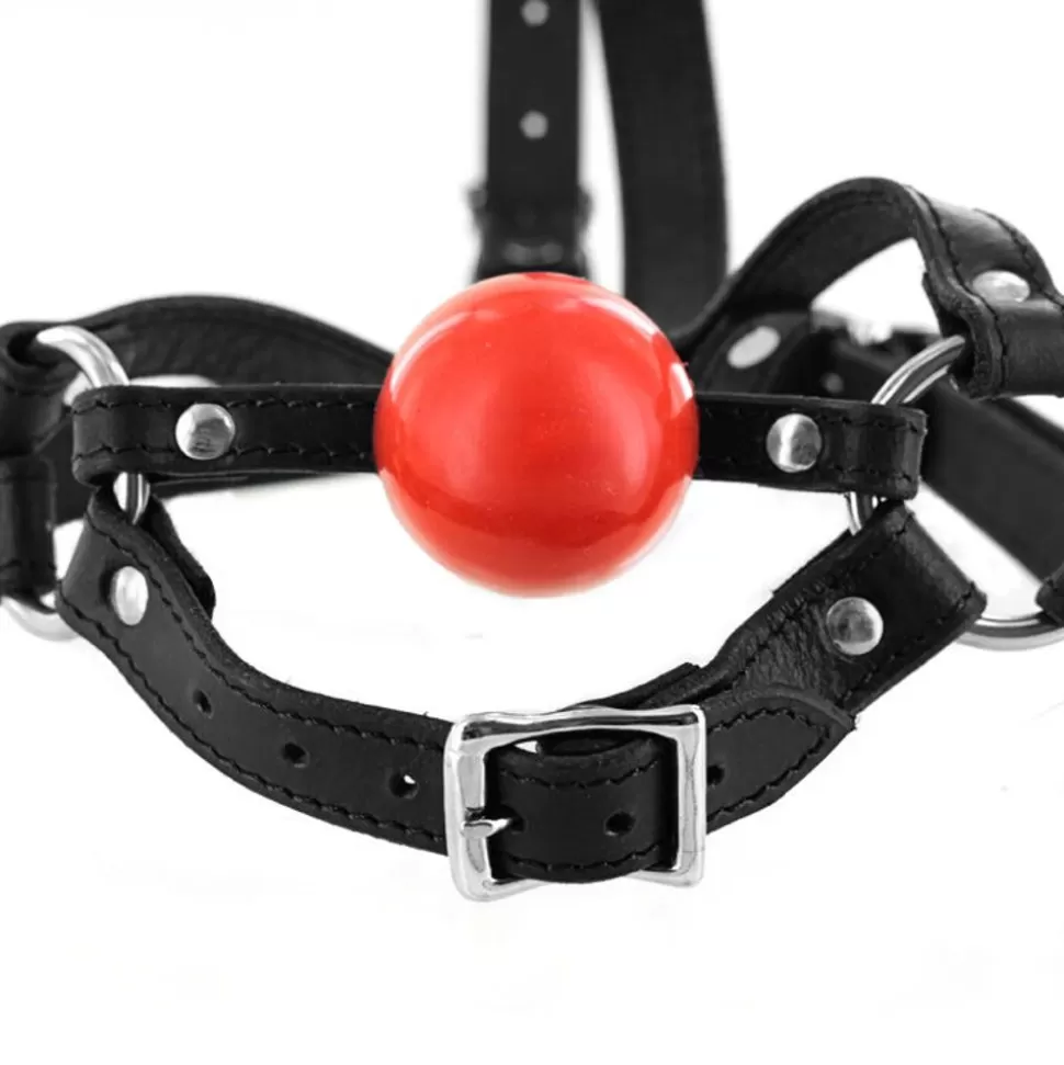 Fashion Ball Gag Head Harness Bondage Gags