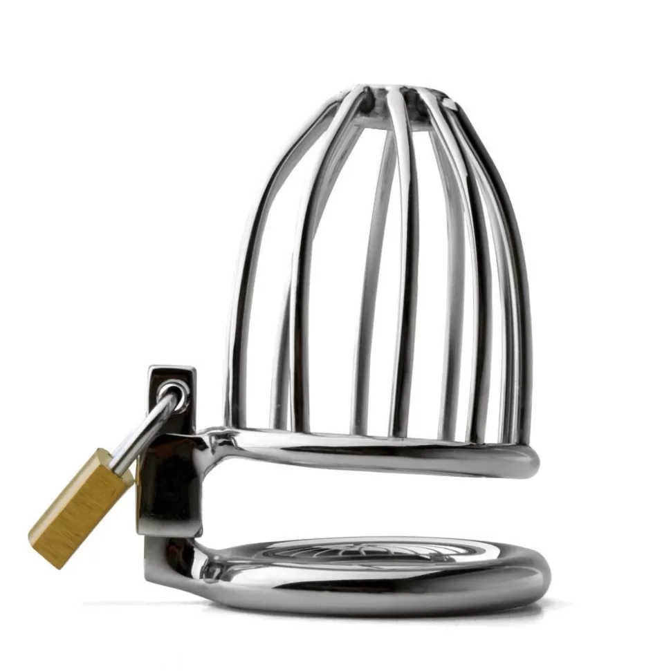 Best Bird Cage Chastity Device Chastity Devices